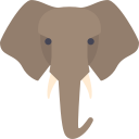Elefant